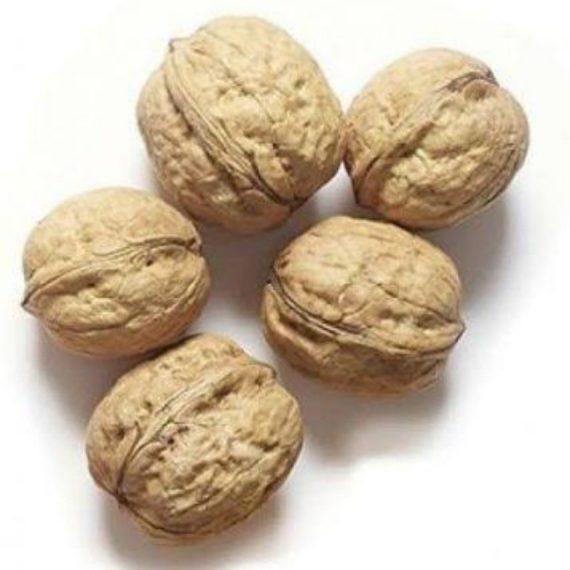 Akhrot whole walnuts with Shell American soft skin ثابت کاغذی امریکن اخروٹ
