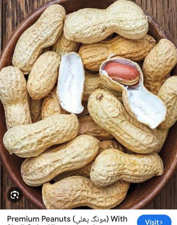 Peanuts with shell - Roasted - مونگ پھلی چھلکے والی