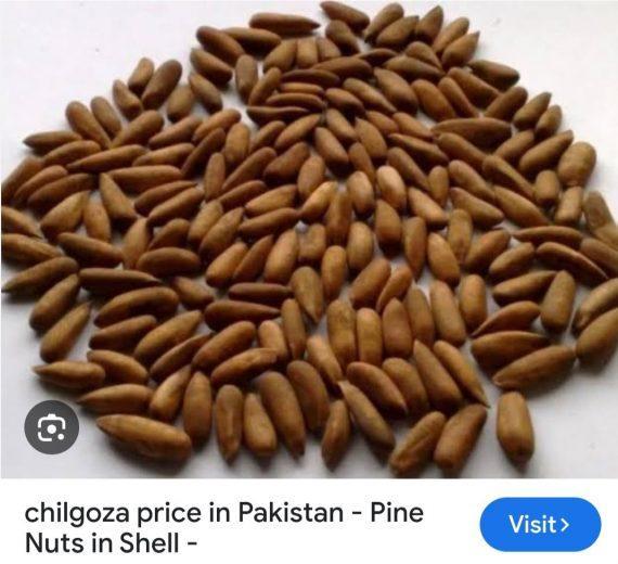Chilgoza - Golden Pine Nuts best quality چلغوزہ گولڈن ایک نمبر