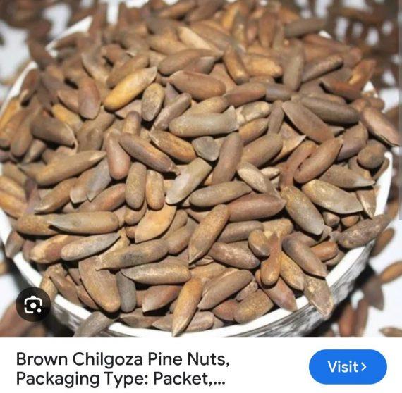 Chilgoza - Golden Pine Nuts best quality چلغوزہ گولڈن ایک نمبر