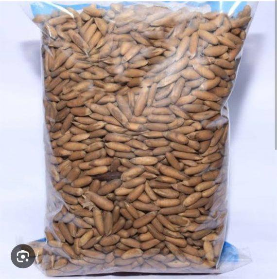 Chilgoza - Golden Pine Nuts best quality چلغوزہ گولڈن ایک نمبر