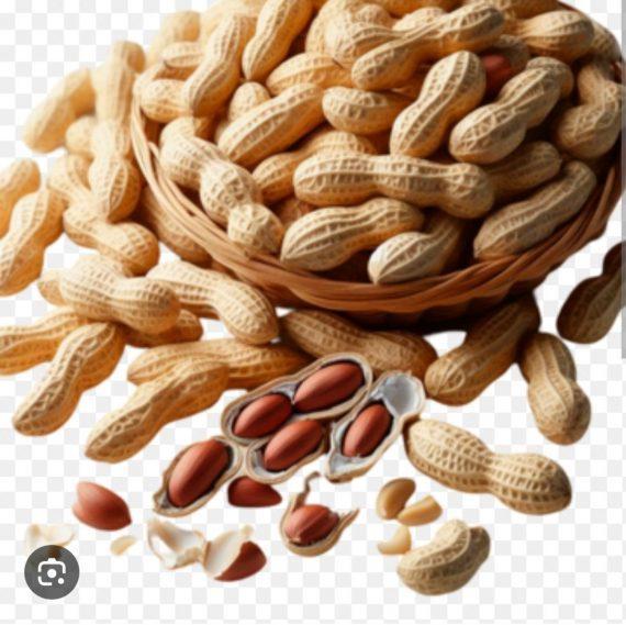 Peanuts with shell - Roasted - مونگ پھلی چھلکے والی