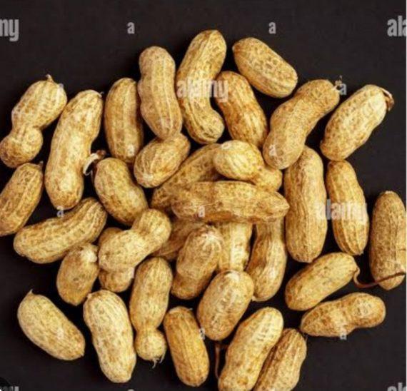 Peanuts with shell - Roasted - مونگ پھلی چھلکے والی