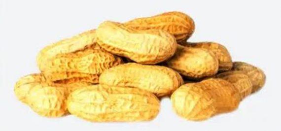 Peanuts with shell - Roasted - مونگ پھلی چھلکے والی