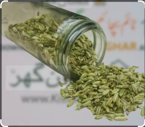 Spices - Saunf - Fennel seeds - سونف