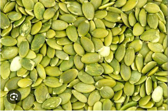 Seeds - Pumpkin seeds kernels -  ہرا بیج ۔ تخم پیٹھا