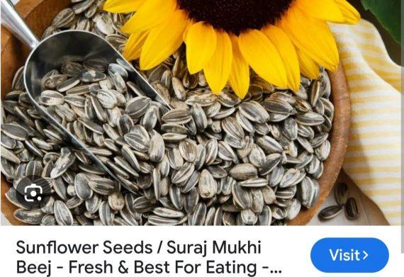 Seeds - Sunflower Whole Unsalted - سورج مکھی بیج ثابت