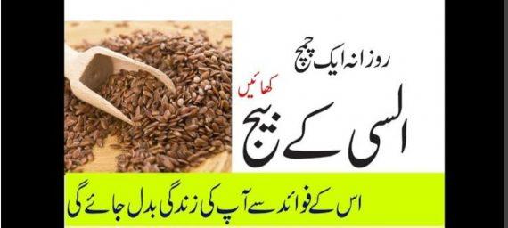 Seeds - Flax Seeds - فلکس - السی کے بیج