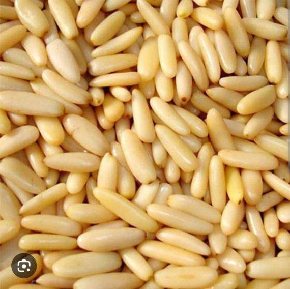 Chilgoza Giri - Pine Nuts without shell best quality - چلغوزہ گیری ایک نمبر
