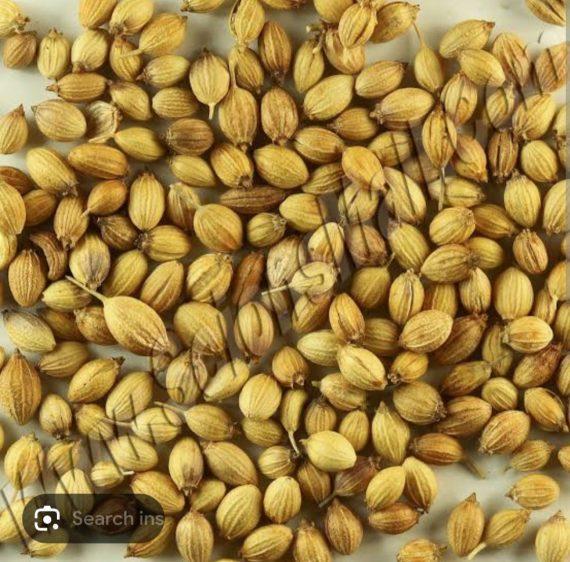 Spices - Dhania Coriander Sabut - ثابت دھنیا