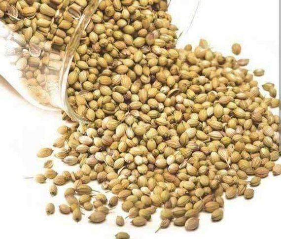 Spices - Dhania Coriander Sabut - ثابت دھنیا