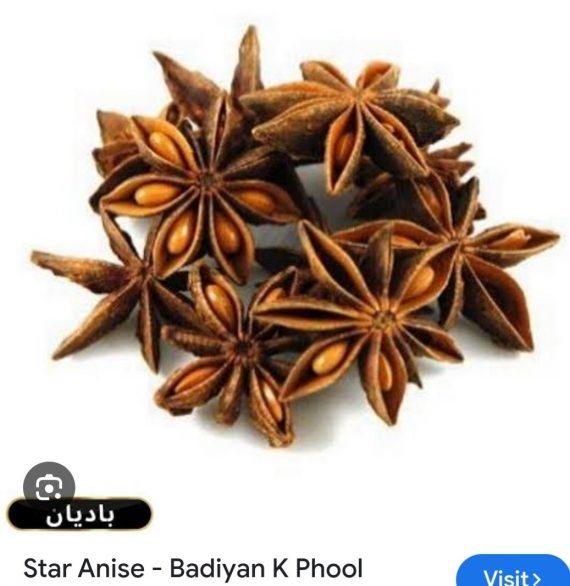 Spices - Star Anise - Badiyan ka phool - پھول بادیان