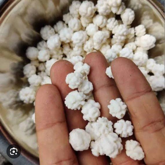Nakul Dana small size - Mimosa sugar balls -  نکل دانہ چھوٹا