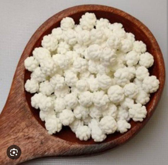 Nakul Dana small size - Mimosa sugar balls -  نکل دانہ چھوٹا