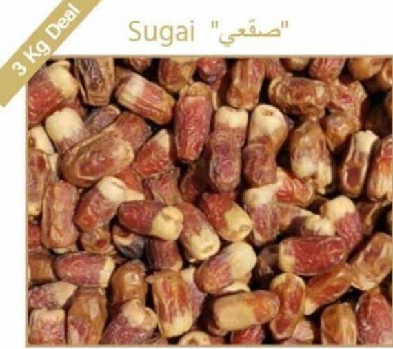 Dates - Sughai -  صقعی کھجور
