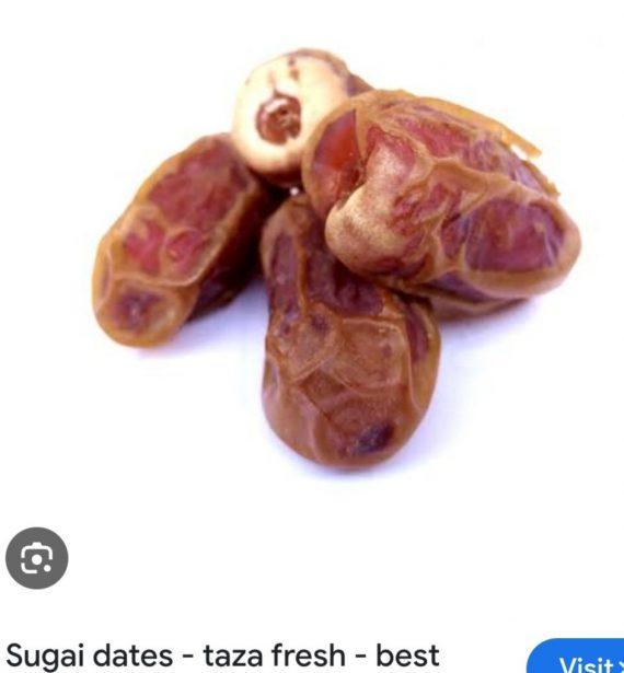 Dates - Sughai -  صقعی کھجور