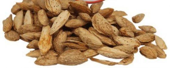 Badam - Almonds - with shell - Talwar - سرخ تلوار بادام