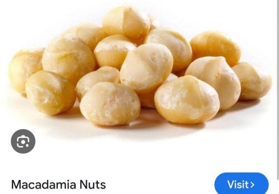 Macadamia Nuts unshelled - میکیڈیمیا نٹ چھلا ہوا ۔ چابی والا اخروٹ