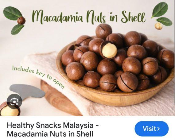 Macadamia Nuts in shell - میکیڈیمیا نٹ ۔ چابی والا اخروٹ