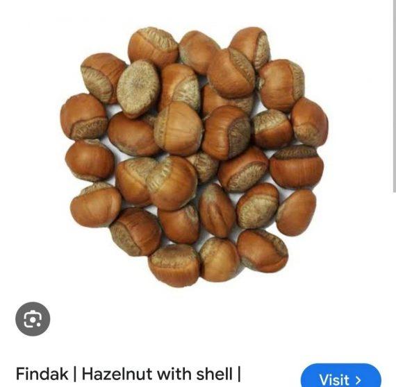 Hazel nuts with shell - Findak - ھیزل نٹ چھلکے کے ساتھ